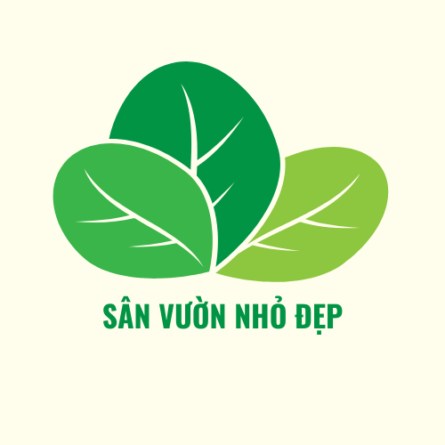 Sân Vườn Nhỏ Đẹp